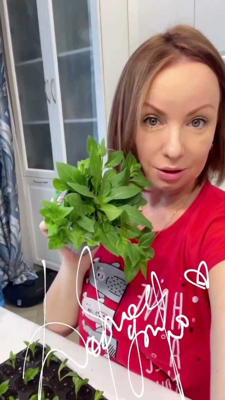 Примеры судебной практики с признанием особо крупного размера