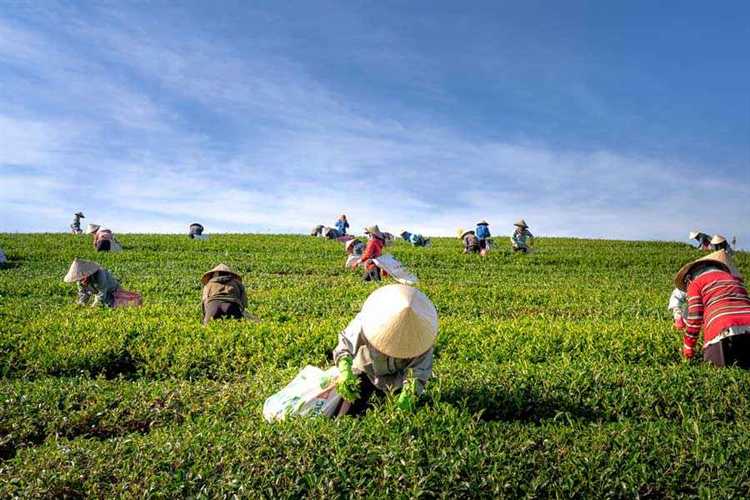 Регистрация и выбор организационно-правовой формы