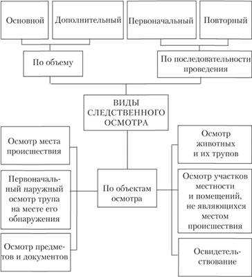 Фиксация телесных повреждений при освидетельствовании