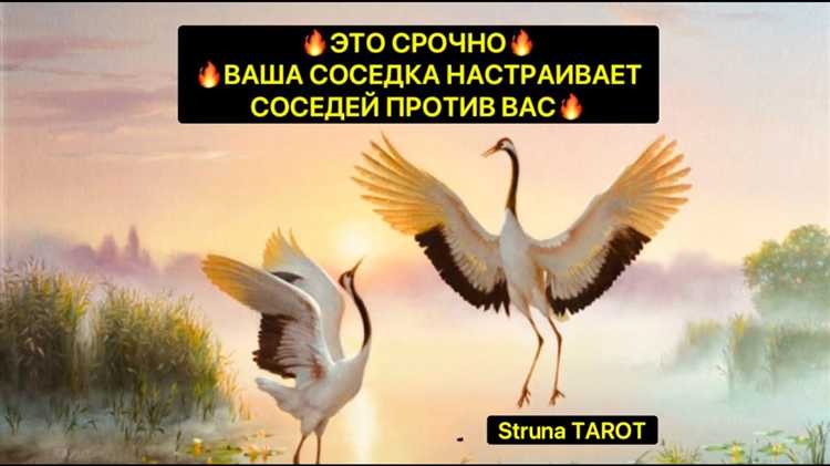 Важно зафиксировать факт бездействия: фиксируйте даты и время звонков, сохраняйте электронную переписку и копии жалоб. Это станет доказательной базой при дальнейшем обжаловании.
