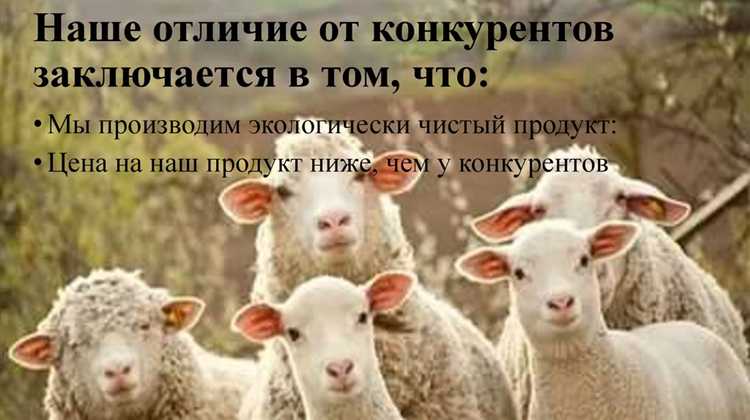 Пособничество: как закон трактует помощь в преступлении