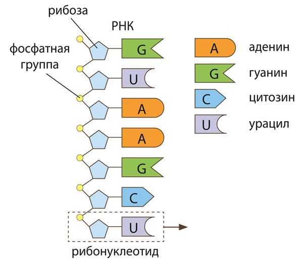Порядок ручной настройки параметров АПН для различных операторов