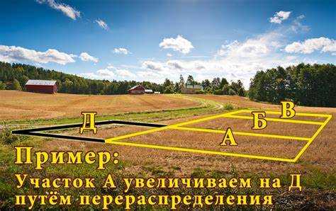 Как проводится согласование границ и подготовка межевого плана