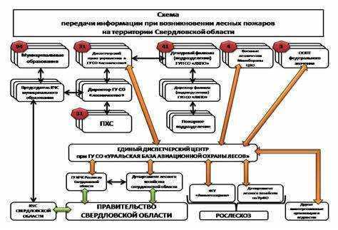 Кто конкретно назначается ответственным за разработку плана