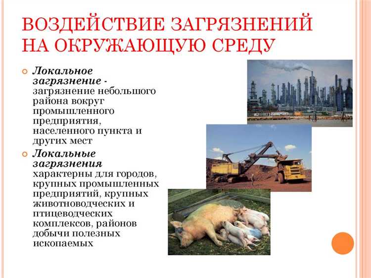 Когда начисляется плата за сбросы загрязняющих веществ в водные объекты