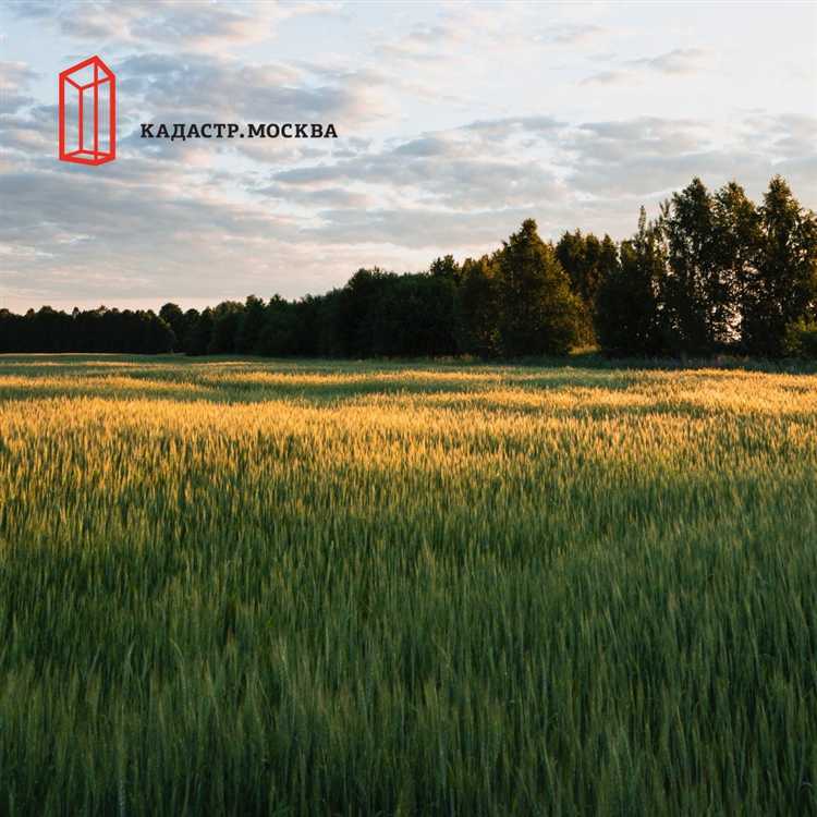 Особенности снятия с учета участков с выявленными ошибками в кадастровых данных