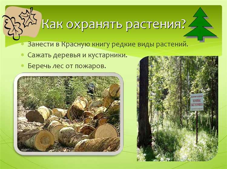 Какие статьи Конституции закрепляют ответственность за экологию