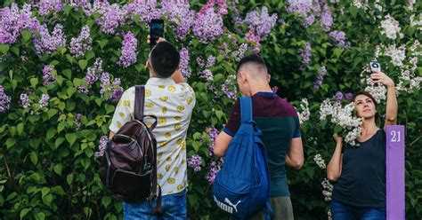 Какие экономические аргументы обсуждались при принятии решения