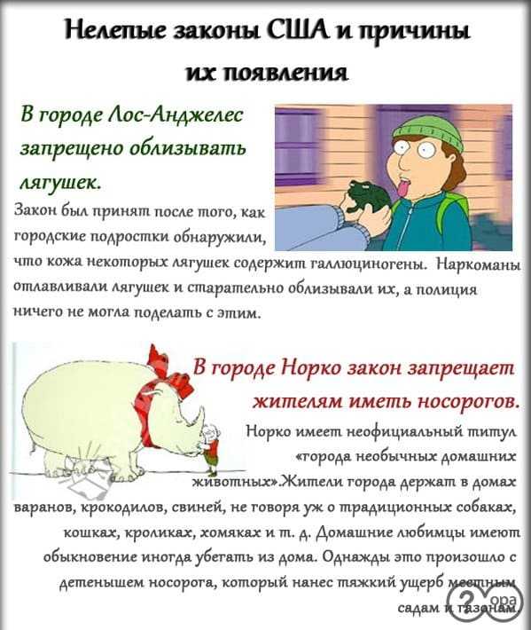 Как Конституция США закрепила право штатов на самостоятельное законодательство