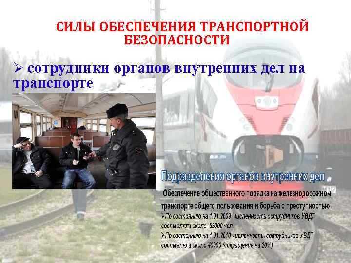 Ответственность за нарушения требований транспортной безопасности