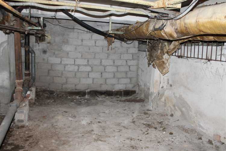 Можно ли приватизировать подвал многоквартирного дома