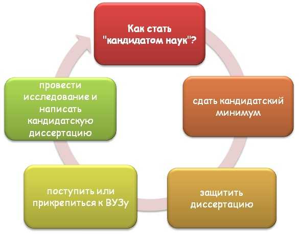 Возможности академической карьеры с разными учеными степенями