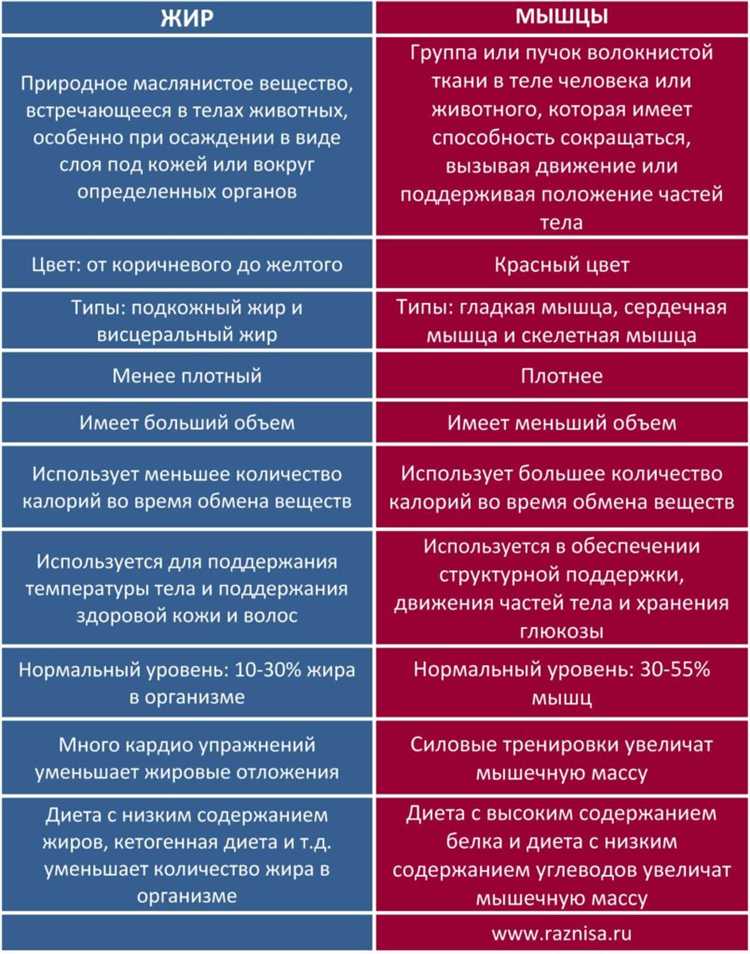 Практическое значение разницы между пояснениями и разъяснениями для бизнеса
