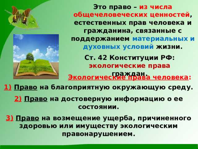 Практические примеры защиты права на благоприятную окружающую среду в России