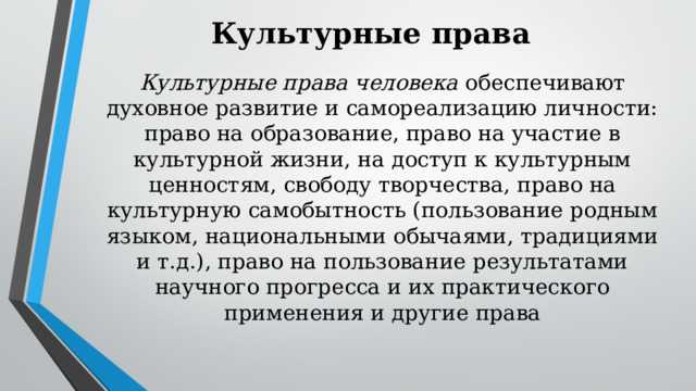 Образовательные и социальные программы как часть доступа к культуре