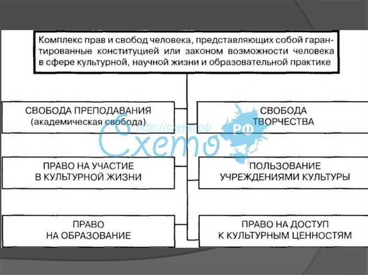 Как государство обеспечивает право граждан на участие в культурной жизни