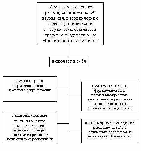 Как соотношение правовой нормы и закона влияет на разработку новых законодательных актов