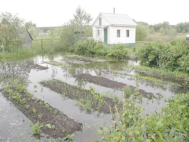 Оценка категории земель и целевого назначения участка