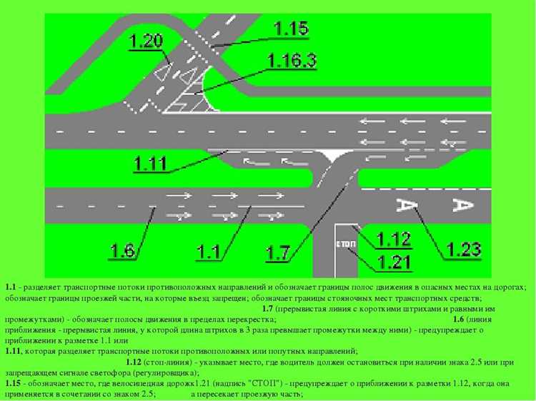 Роль придорожной полосы в организации парковки и остановок