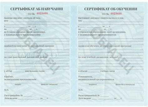 Что должно быть включено в приложение к документу об образовании