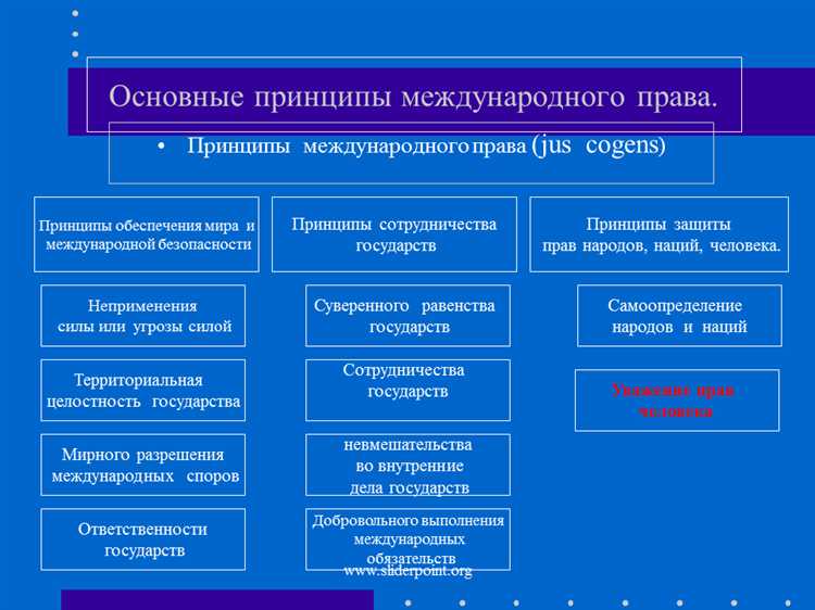 Решения Международного суда ООН как источник принципов