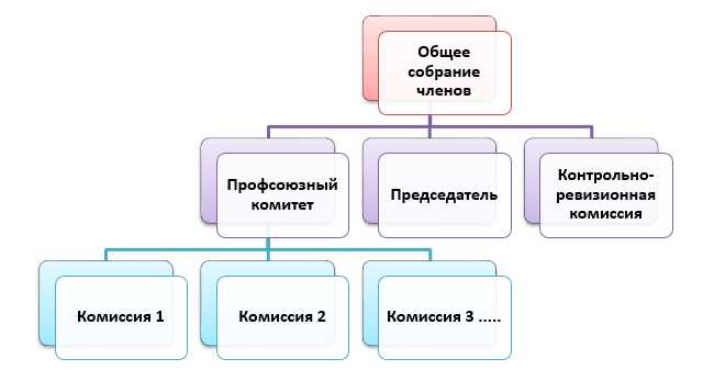 Какие функции выполняет профсоюз в защите прав работников