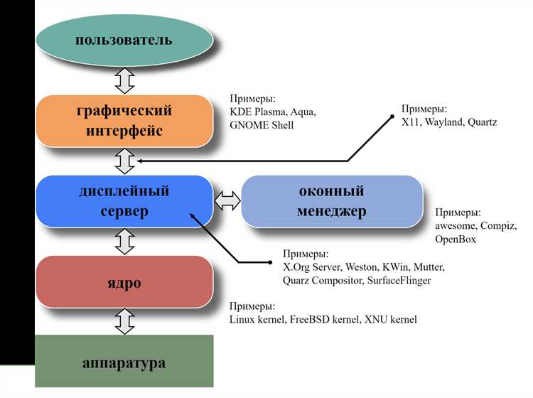 Как проводится процессуальная проверка в юридической практике
