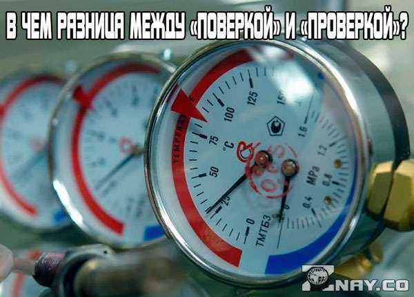 Этапы процессуальной проверки