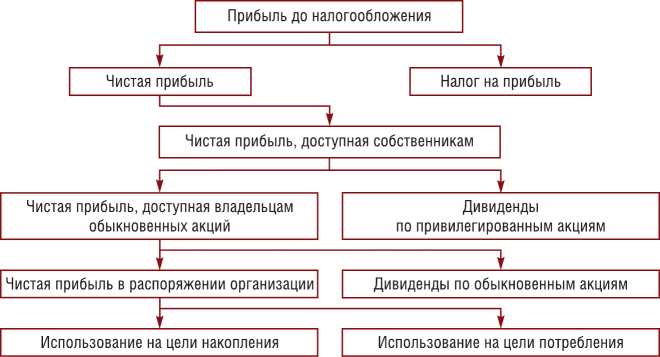 Документальное оформление распределения прибыли в учете