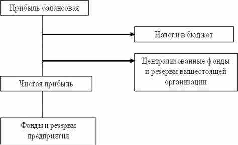 Учет налоговых последствий распределения прибыли ООО