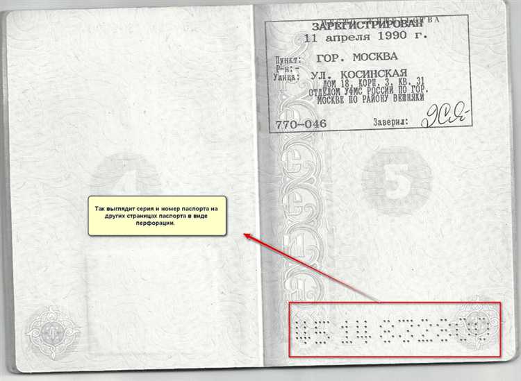 Как присваивается регистрационный номер физическим лицам в Беларуси