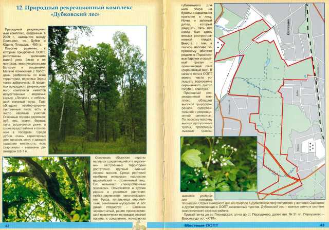 Требования к благоустройству территорий лесного фонда