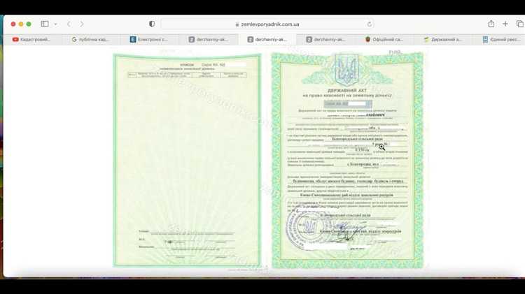 Как оформить сведения о выданном органе регистрации прав