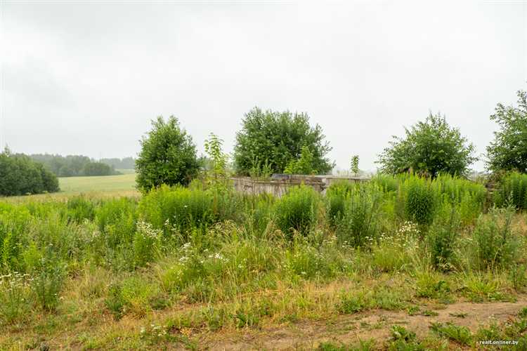 Какие органы могут принять решение о реквизиции земли