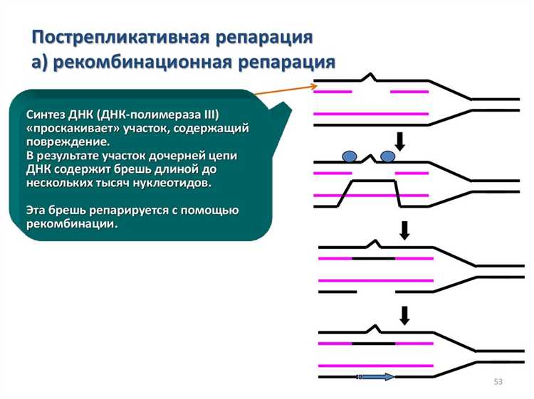 Исторические прецеденты применения репараций и контрибуций