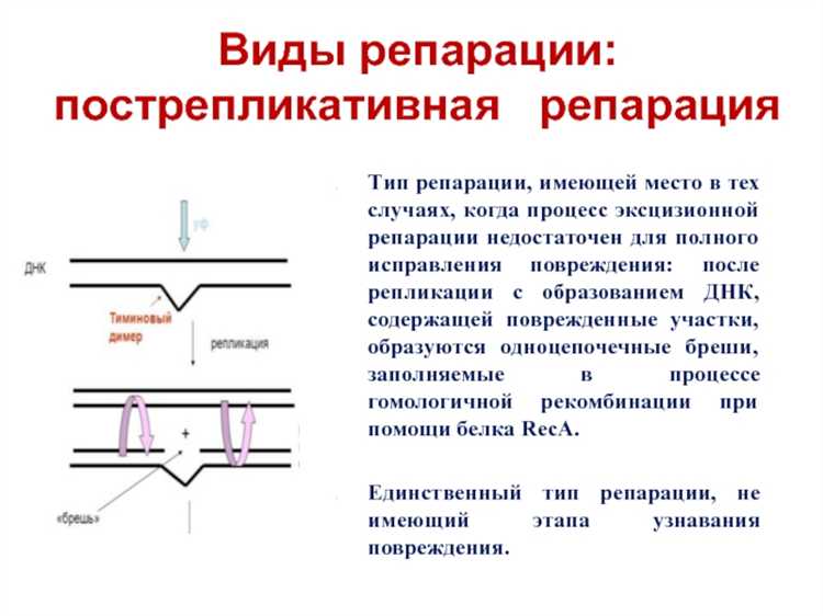 Репарации и контрибуции в чем разница Репарации и контрибуции в чем разница