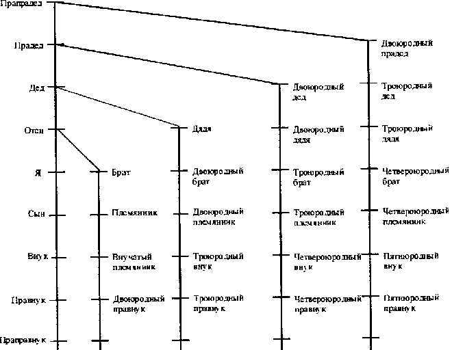 Родственные отношения с прабабушками и прадедушками