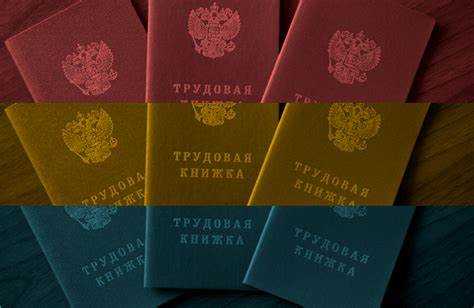 Какие документы нужны для оформления электронной трудовой книжки