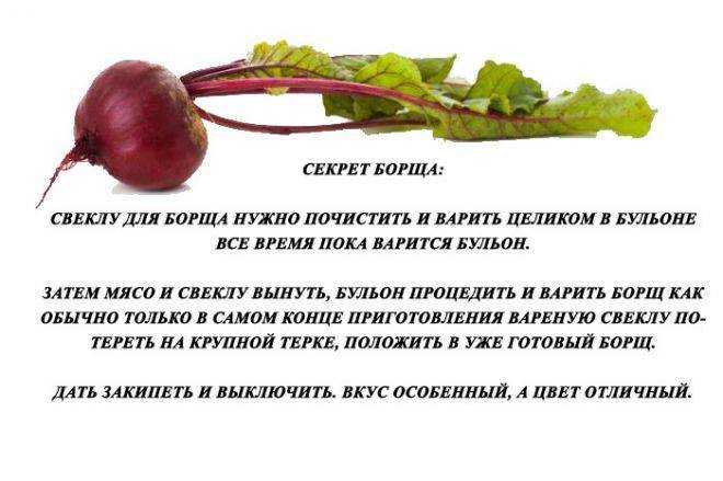 С какого возраста можно стать сенатором С какого возраста можно стать сенатором