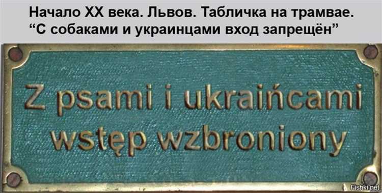 8 пункт в правах что это