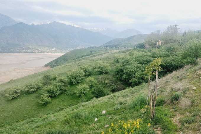 Методы выявления случаев нецелевого использования земель