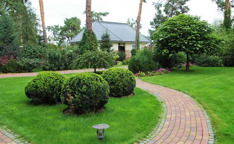 Устройство дорожек и пешеходных зон