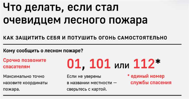 Что входит в ограничение по применению Что входит в ограничение по применению