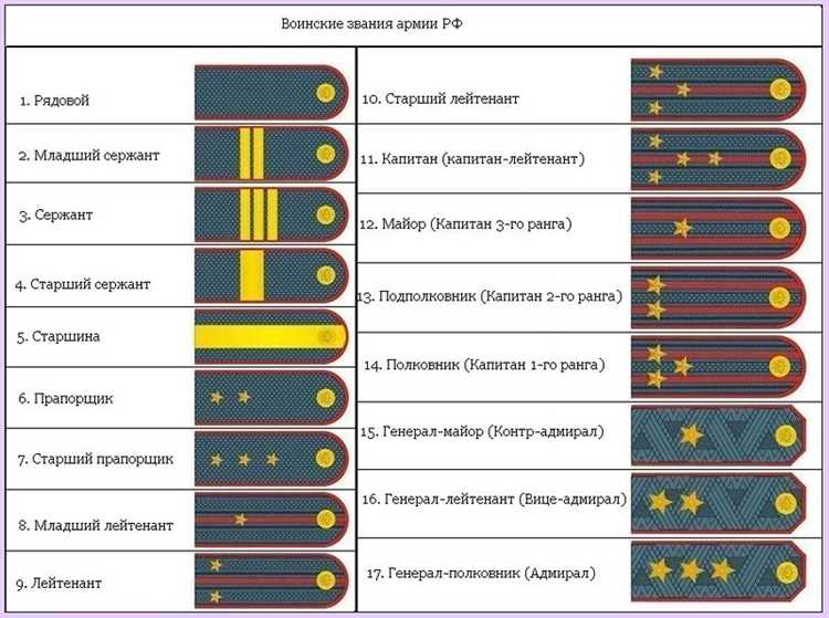 Какие дополнительные курсы и тренировки могут помочь в повышении чина?