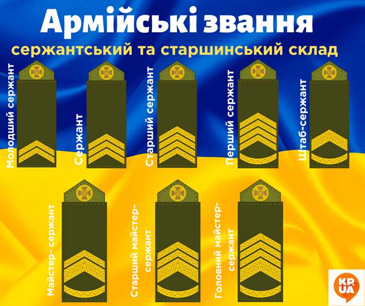 До какого звания можно дослужиться без высшего образования До какого звания можно дослужиться без высшего образования