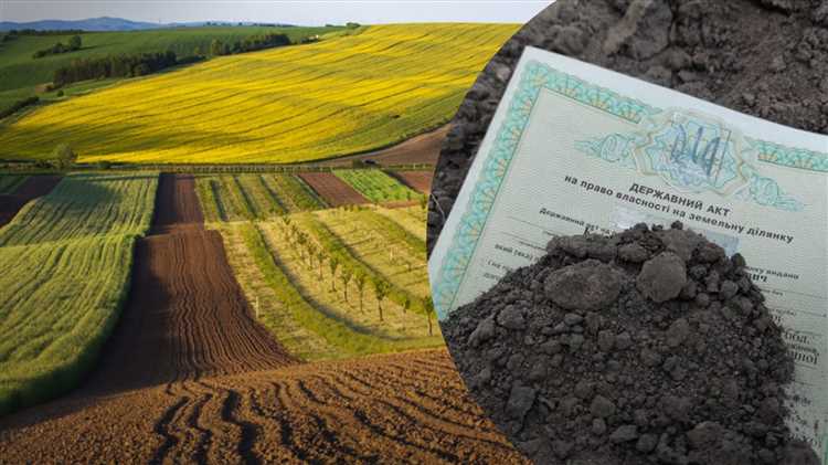 Кто имеет право отказаться от земельного участка и в каких случаях это возможно