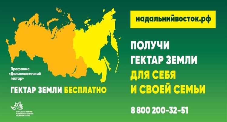 Пошаговая инструкция заполнения электронного заявления