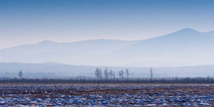 Какие документы нужно подготовить для подачи заявления