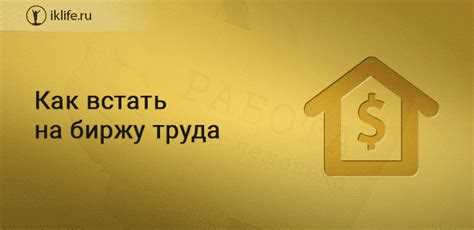 Как создать и подтвердить личный кабинет на портале службы занятости