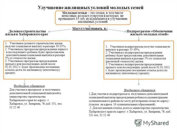 Как проходит проверка предоставленных сведений